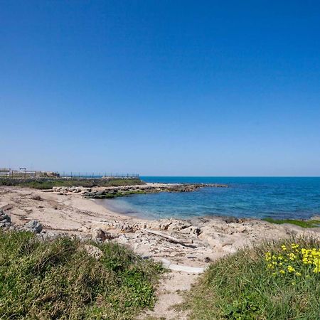 Casaalmare Daire Mola di Bari Dış mekan fotoğraf