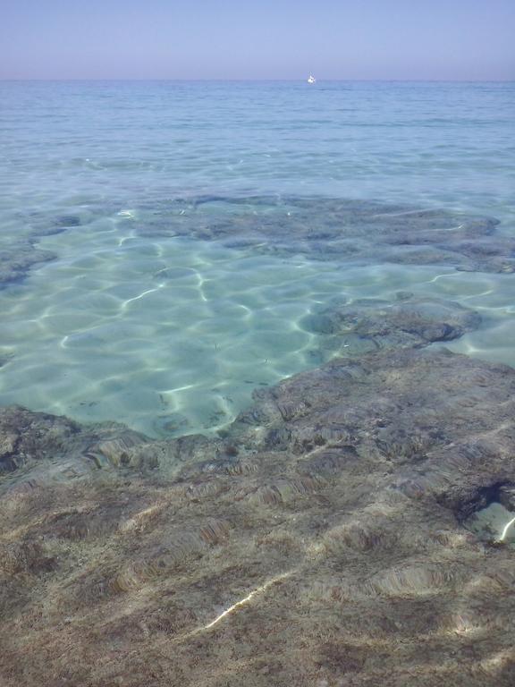 Casalmare Otel Mola di Bari Dış mekan fotoğraf